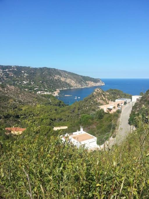 Casa Torre Cruilles Big, Stylish, Modernized 'Castle' Prime Costa Brava With Ac Villa Exterior photo